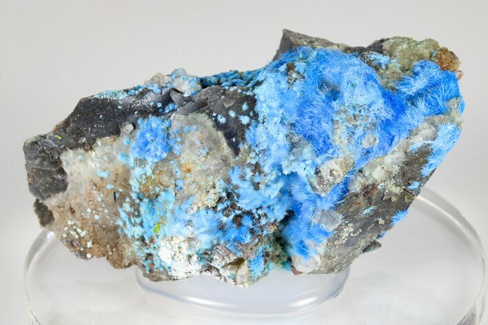 Vibrant Blue, Cyanotrichite Crystal Aggregates - China #183993